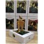 Xerjoff Casamorati 1888 LİRA  100 ml Eau de Parfum Bayan ORJİNAL KUTULU Parfüm