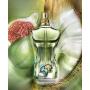 Jean Paul Gaultier Le Beau Paradise Garden EDP 100 ml Erkek Tester Parfüm Jean Paul Gaultier Le Beau Paradise Garden EDP 100 ml Erkek Tester Parfüm