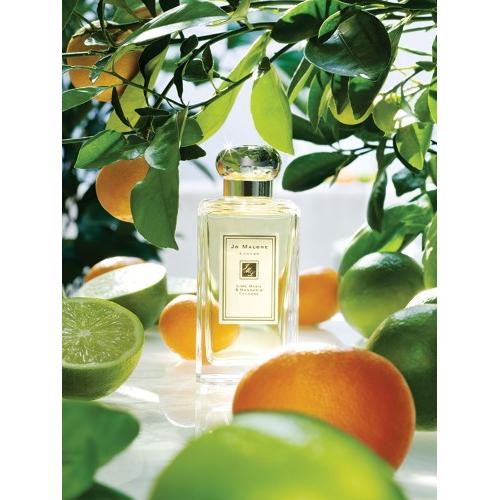 jo malone lime basil and mandarin 100 ml unısex tester parfüm jo malone lime basil and mandarin 100 ml unısex tester parfüm