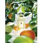 jo malone lime basil and mandarin 100 ml unısex tester parfüm jo malone lime basil and mandarin 100 ml unısex tester parfüm